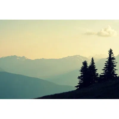 Marmont Hill 'what A Wonderful World' By Robin Delean Painting Print On Wrapped Canvas In Blue;black;white