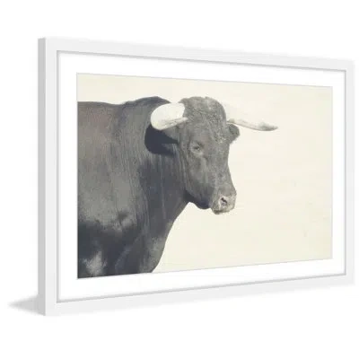 Marmont Hill White Antlers By  - Picture Frame Photograph Print On Paper In Black;beige