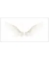 Marmont Hill White Wings Painting Print