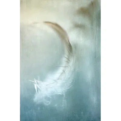 Marmont Hill "wind Blown Feather" Print On Wrapped Canvas In Blue;beige