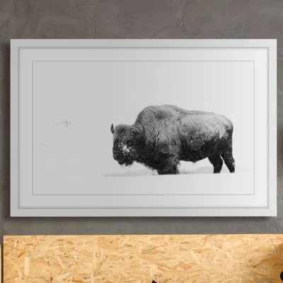 Marmont Hill 'winter Coat' - Picture Frame Photographic Print On Paper In White Framed