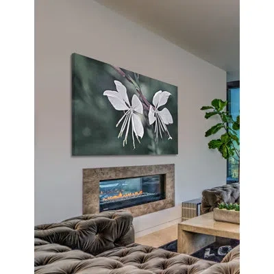 Marmont Hill 'wonderful Whites' By Leda Robertson Painting Print On Wrapped Canvas In White;green