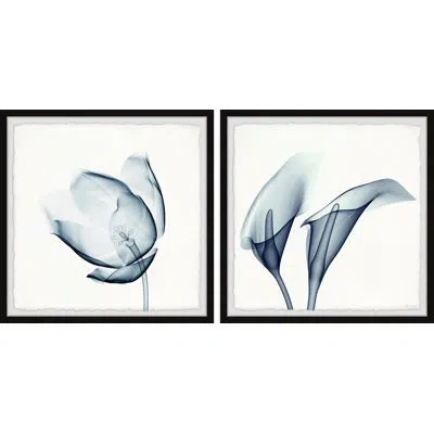 Marmont Hill You Complete Me By  - 2 Piece Picture Frame Print Set In Blue;white