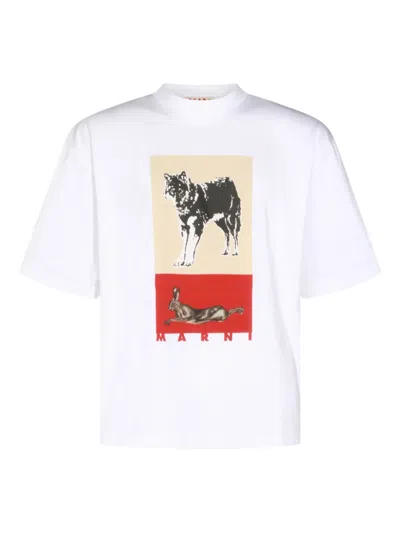 MARNI ANIMAL GRAPHIC T-SHIRT