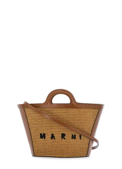 Marni Bags In Brown
