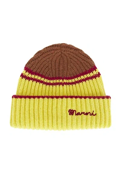 Marni Beanie In Brown