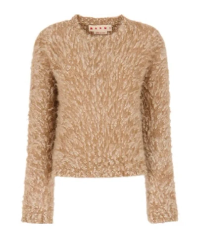 Marni Beige Alpaca And Mohair Jumper With Crew Neck In Brown