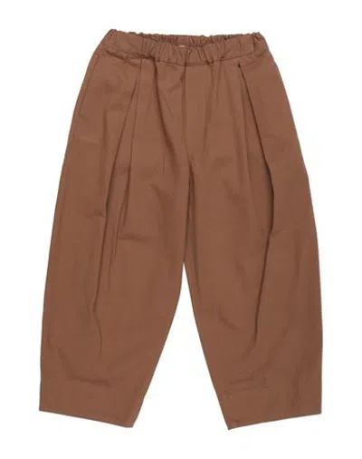 Marni Bottomwear - Pants In Brown