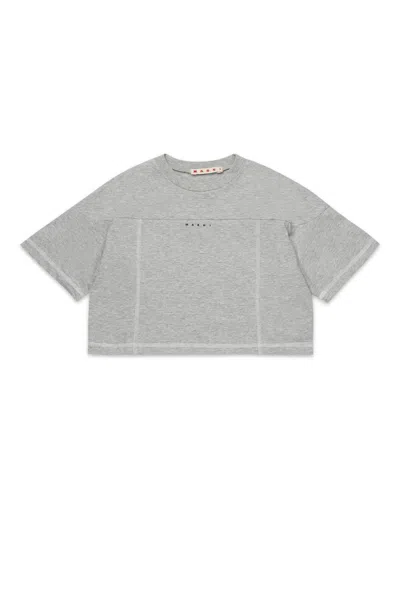 Marni Kids' Branded Cropped T-shirt In Grey