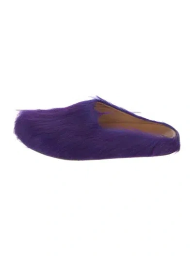 Pre-owned Marni Calf Hair Mules In Purple
