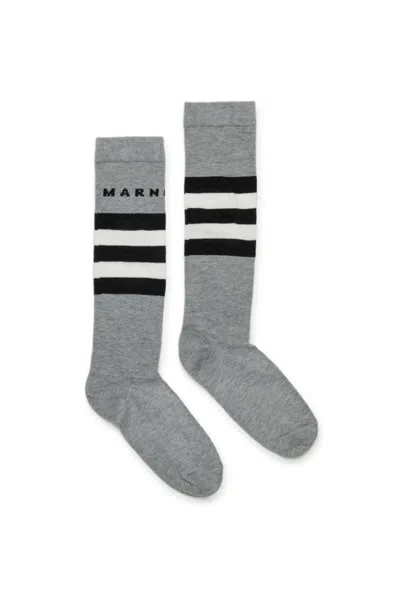 Marni Calzini In Misto Cotone Con Righe E Logo In Gray