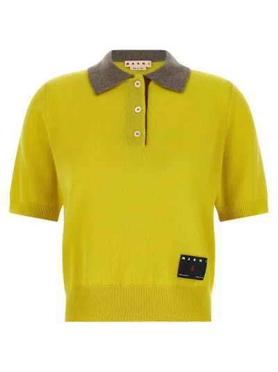 Marni Cashmere Polo Shirt In Yellow