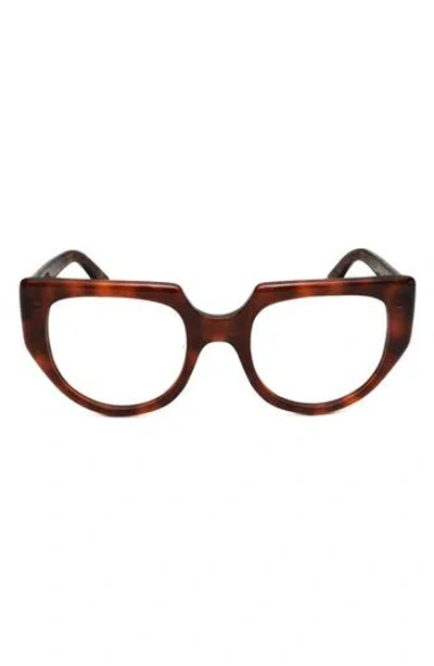 Marni Cat Eye Reading Glasses In Brown
