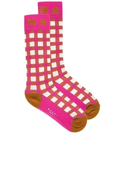Marni Check Mid-calf Socks In Starlight Pink