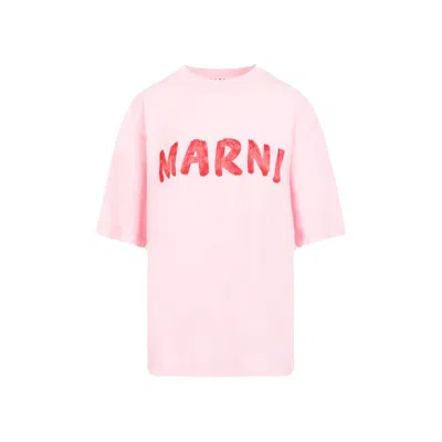 Marni Cinder Rose Cotton T-shirt In Neutrals