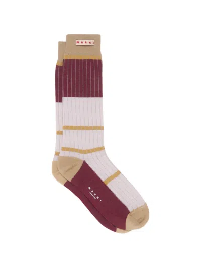 Marni Colour-block Ribbed Socks In Purple