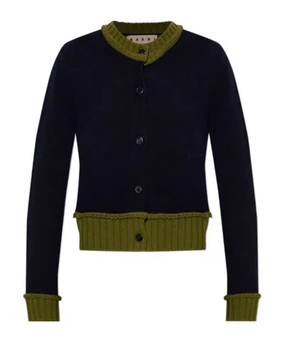 Marni Color-block Cropped Cardigan In Blue