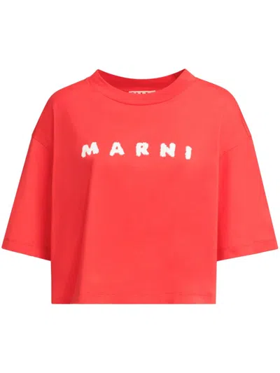 Marni Woman T-shirt Red Size 0 Cotton In Orange
