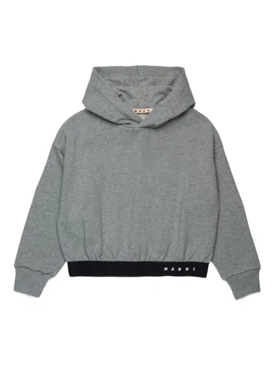 Marni Kids' Cotton Hoodie In Gray