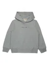 Marni Cotton Hoodie In Gray