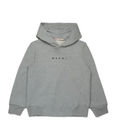 Marni Babies' Cotton Hoodie In Gray