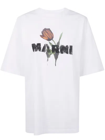 Marni Cotton Knit T-shirt For Women - Fw25 Collection In White