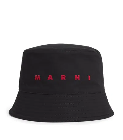 Marni Cotton Logo Bucket Hat In Black