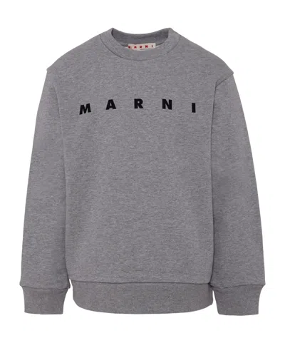 Marni Cotton Sweatshirt In Gray