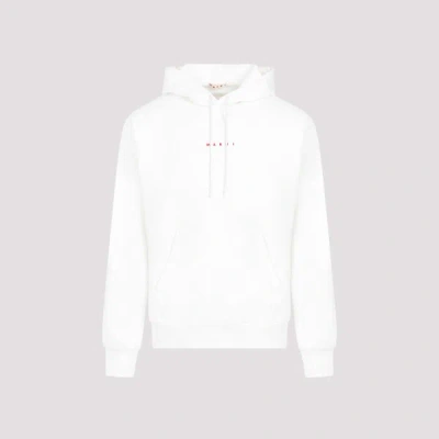Marni Cotton Sweatshirt In Lw Natural White
