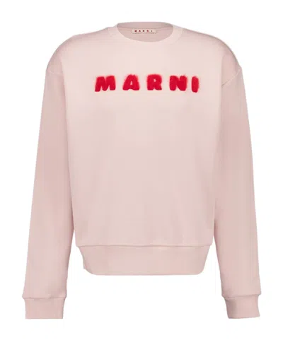 Marni Cotton Sweatshirt In Pink