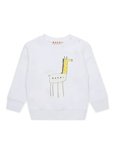 Marni Babies' Cotton Sweatshirt In White