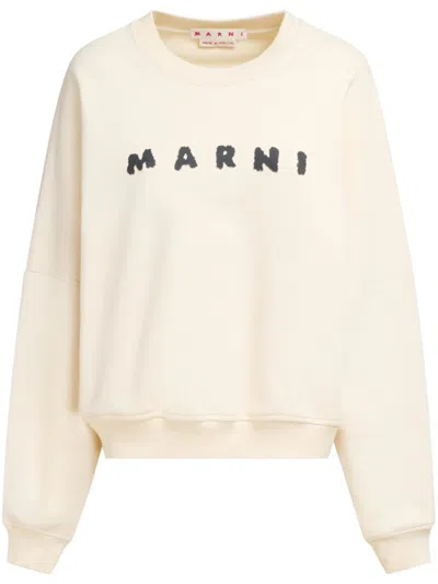 Marni Cotton Sweatshirt With Print In Neutral