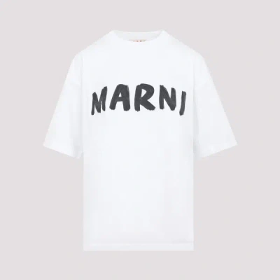 Marni Cotton T-shirt 40 In Low Lily White