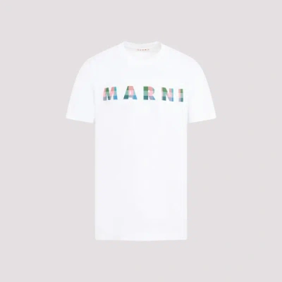 Marni Cotton T-shirt 50 In Gow Lily White