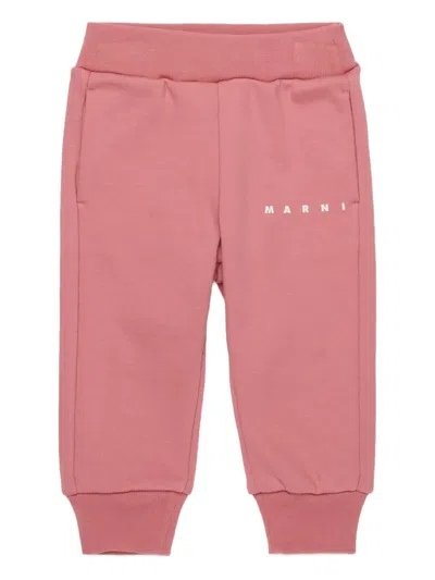 Marni Babies' Cotton Track Pants