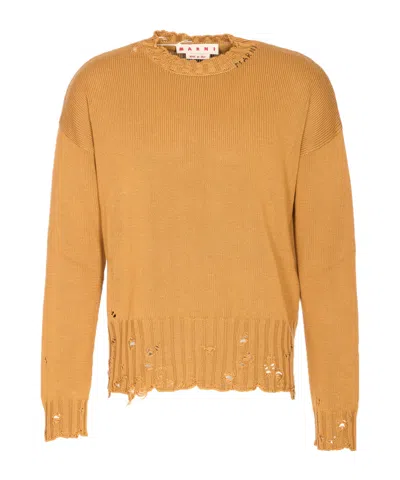 Marni Crew Neck Sweater