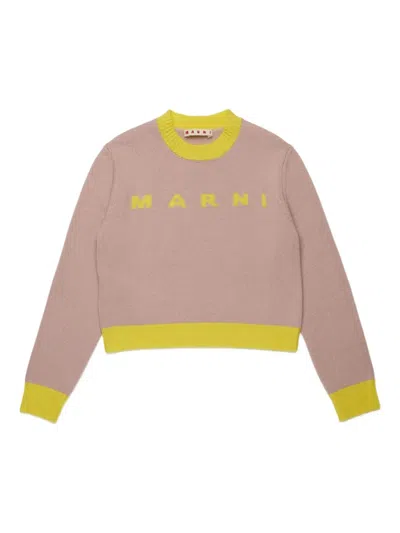 Marni Pullover Mit Rundhalsausschnitt