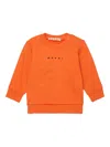 Marni Crew-neck Sweater In Multi