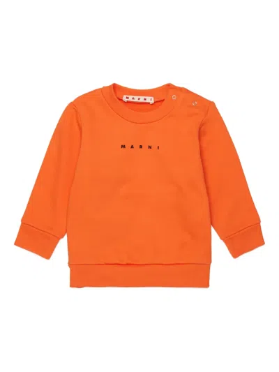 Marni Babies' Crew-neck Sweater In Multi