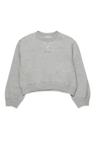 Marni Kids' Crew-neck Sweatshirt With Contrasting Seams In Gray