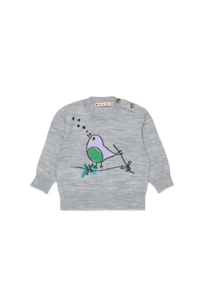 Marni Babies' Crew-neck Pullover With Embroidered Pattern In Gray