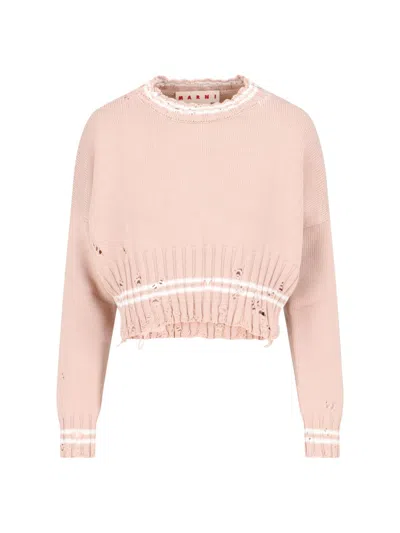 Marni Crop Crew Neck Sweater In Pink