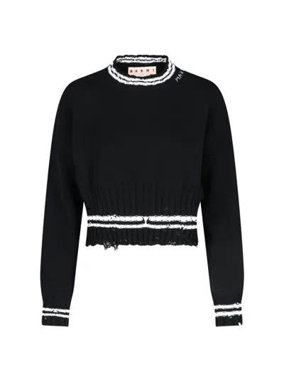 Marni Crop Crew Neck Sweater In Black