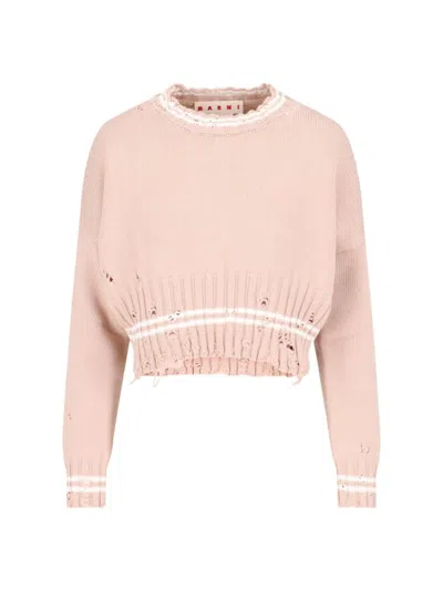 Marni Crop Crewneck Sweater - Pink