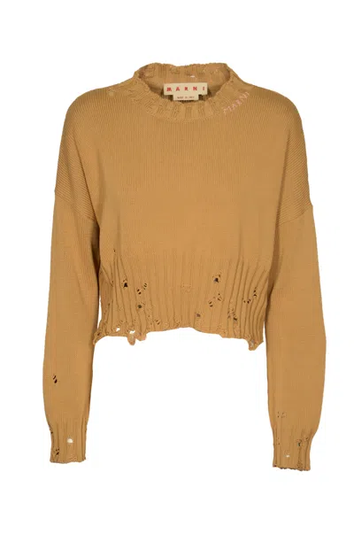 Marni Women's Distressed Cropped Sweater In Yellow