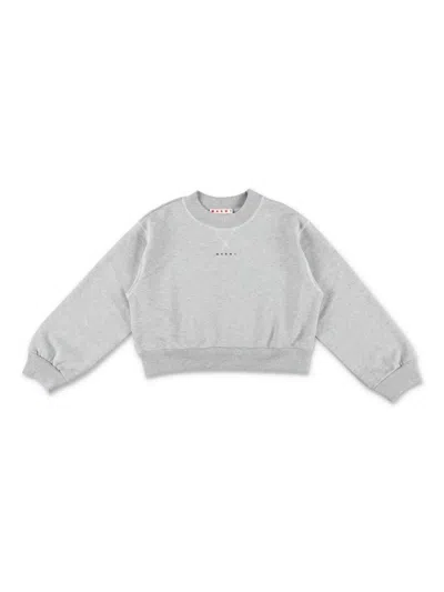 MARNI CROPPED SWEATSHIRT