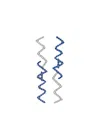 Marni Symbol Embellished Logo Plaque Earrings In Multi