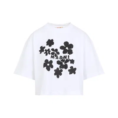Marni White Cotton T-shirt With Daisy Garden Print