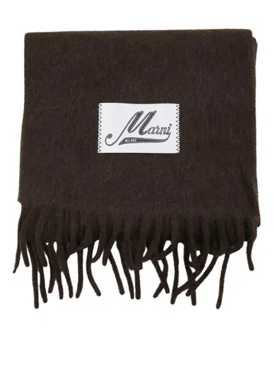 Marni Dark Brown Fringed Scarf In White