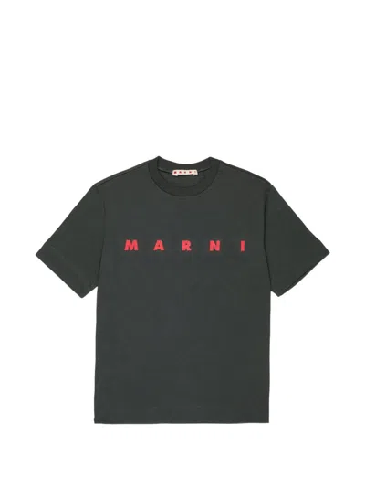 Marni Kids' Dark Grey Logo T-shirt In Black